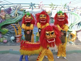 国产舞狮人仔视频大全,国产舞狮人仔视频大全精彩瞬间集锦