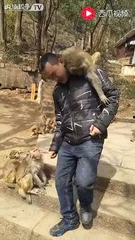 国产打劫搞笑视频大全