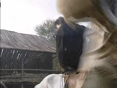 国产剧骑马视频播放网站