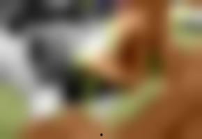 在线看视频欧洲国产,探寻欧洲电影产业的璀璨明珠